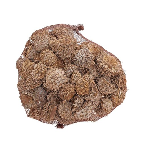 Acorn cones bielený 1kg/4-7cm