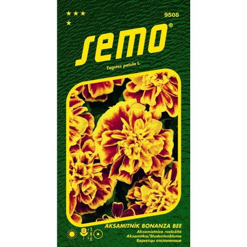 Aksamietnica rozl bonanza bee