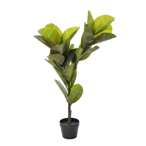 Fikus v plast.kvetináči zel.100cm