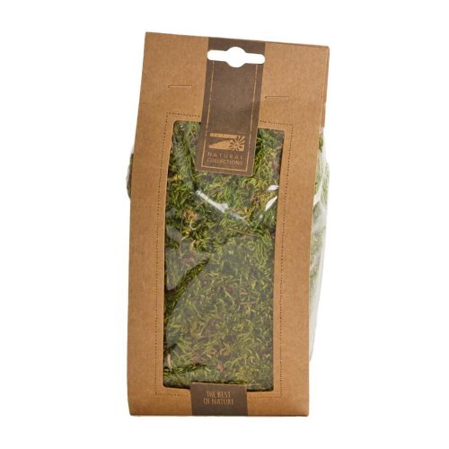 Mach moss flat nature 10x7x22cm