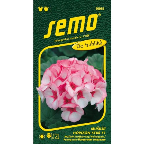 Muškát krúžk. horizon star f1 11s