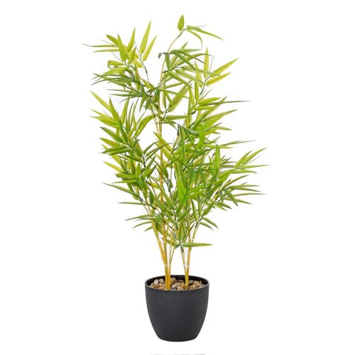 Bambus strom zel.80cm