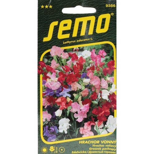 Hrachor voňavý cupidon 2g