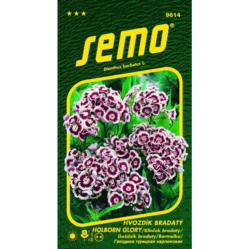 Klinček brad.holborn glory (heimatland)0,50g