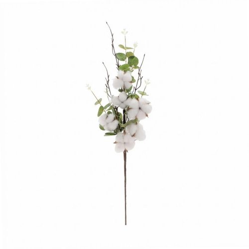 Konár eucalypt, bavlník 55cm