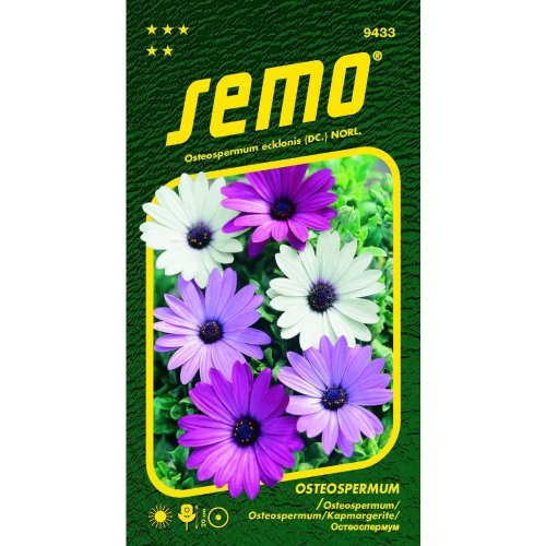 Osteospermum balade mix 0,3g