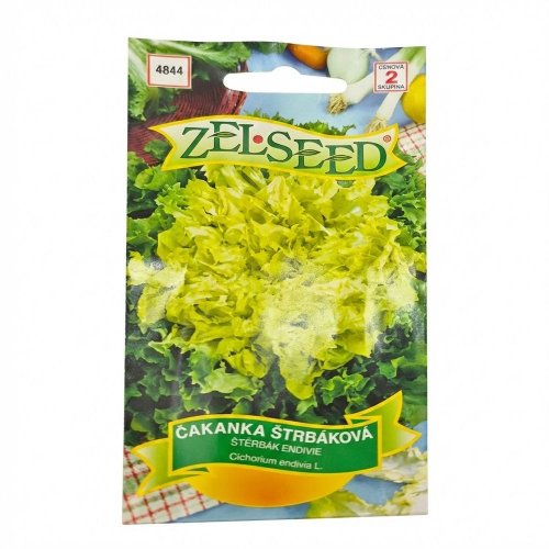 Čakanka štrbáková riccia cuor doro 1g