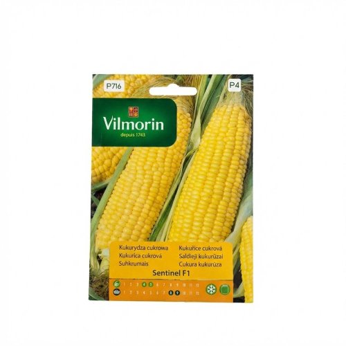 Kukurica cukrová sentinel 2,5g f1