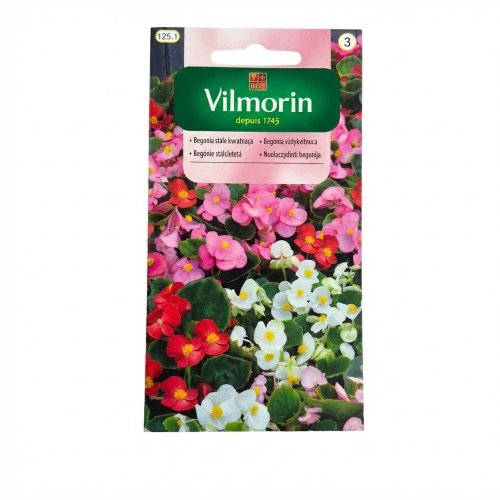 Begónia vždy kvitnúca 0,02g