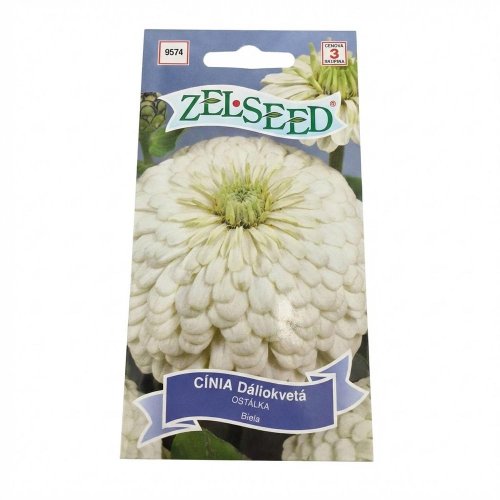 Cínia dáliokv.biela 0,8g