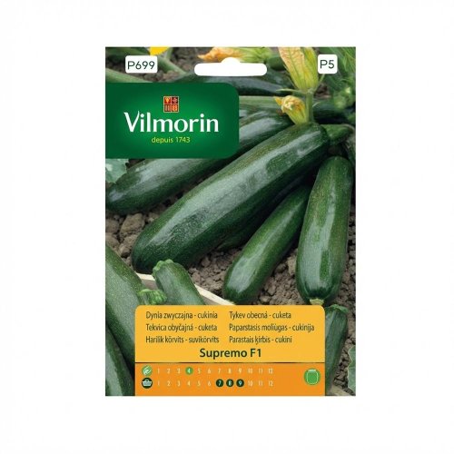 Tekvica obyč. - cuketa supremo f1 8s