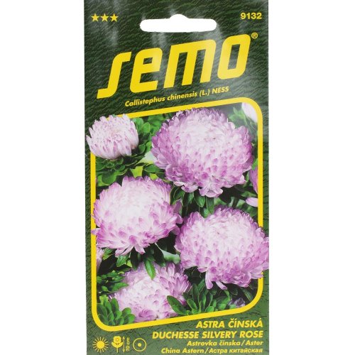 Astrovka čínska duchesse silvery rose 0,5g