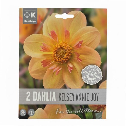 Dahlia kelsey annie joy 2ks