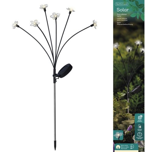 Led solár zápich kvietok/6hv70cm