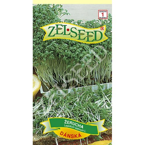 Žerucha dánska 6g