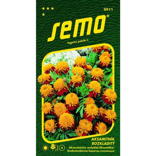 Aksamietnica rozl tiger eyes 1g