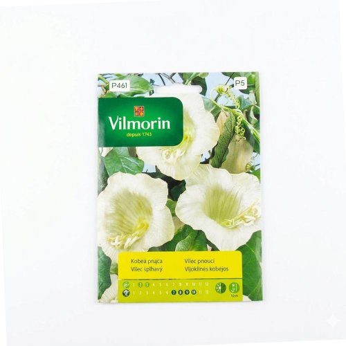 Kobea popínavá biela 0,5g