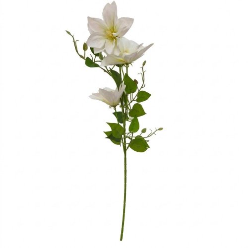 Ks clematis biely 77cm