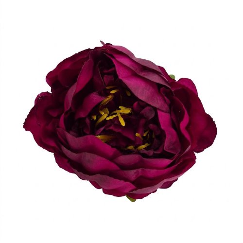 Hlava pivonka cyklamenovo-fialová p:10cm bal:12ks