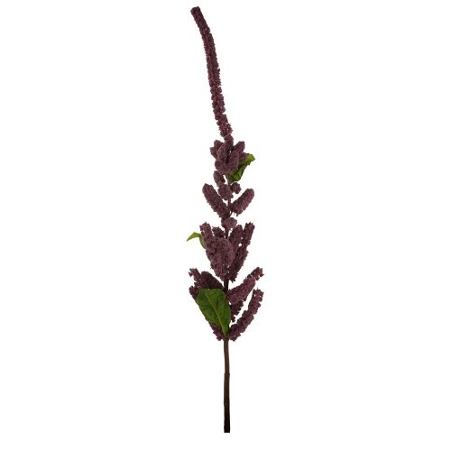 Amaranthus 120cm bordový