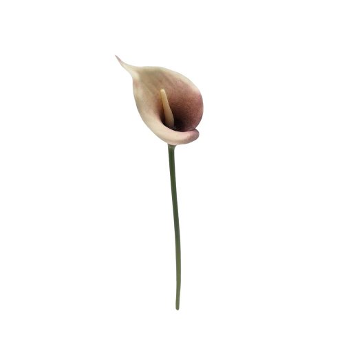 Calla bie-fia 34cm - Umelé kvety