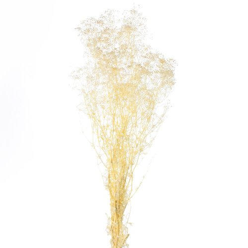 Gypsophila - bielená sušená million /zv