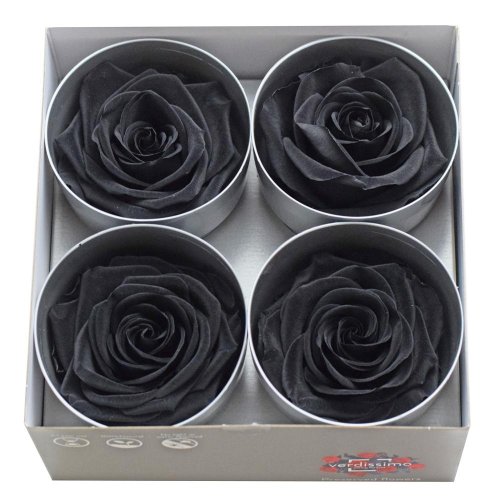 Ruža preparovaná 7/8cm black /ks - bal. 4 ks