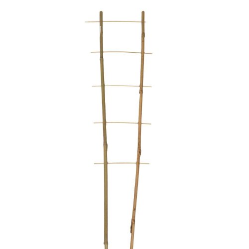 Podpora bambus 180/2 - Umelé kvety