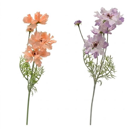 Ks cosmos mix/2f 60cm