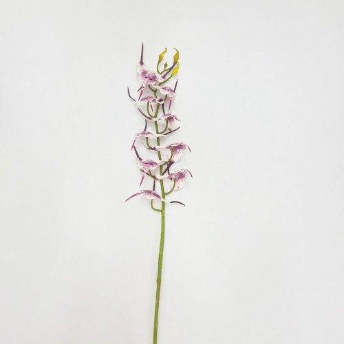 Ks orchidea fialová -opičia tvár 92cm - Umelé kvety