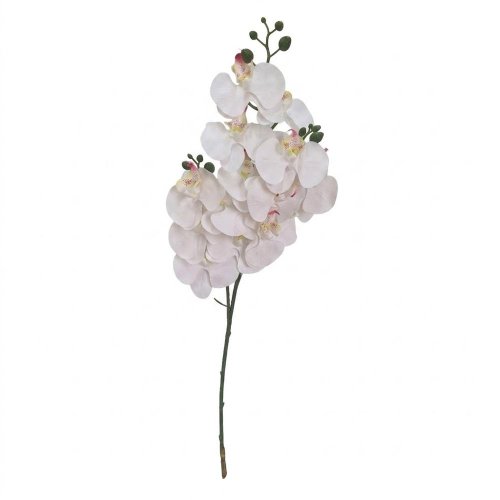 Ks orchidea phalaenopsis x3 biela 77cm