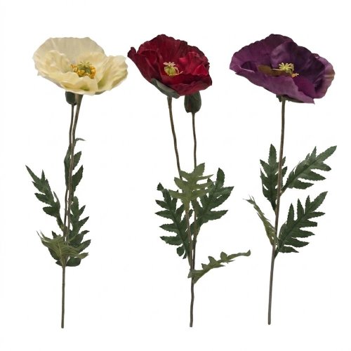 Ks papaver mix/3f 72cm