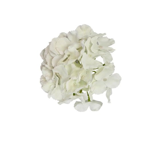 Ks hlava hydrangea biela 16cm