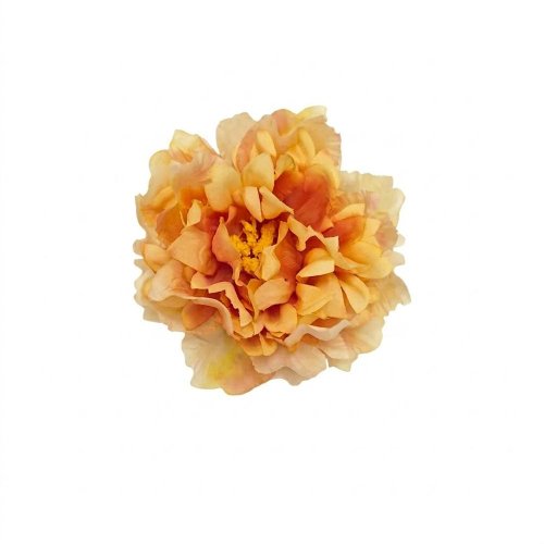 Ks hlava pivonka žlto-oranž 12cm