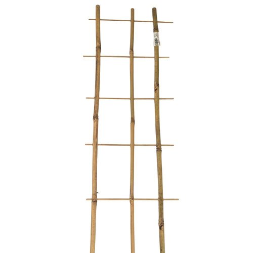 Podpora bambus 180/3