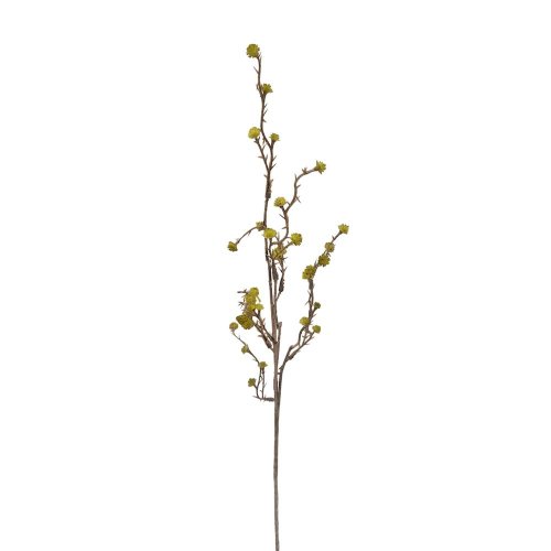 Ks gypsa zelená 60cm