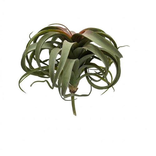 Zápich tilandsia strieborná 27cm - Umelé kvety