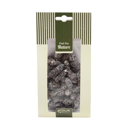 Pinecone birch nature 10x5x22cm 50gr - Veľkonočné ozdoby