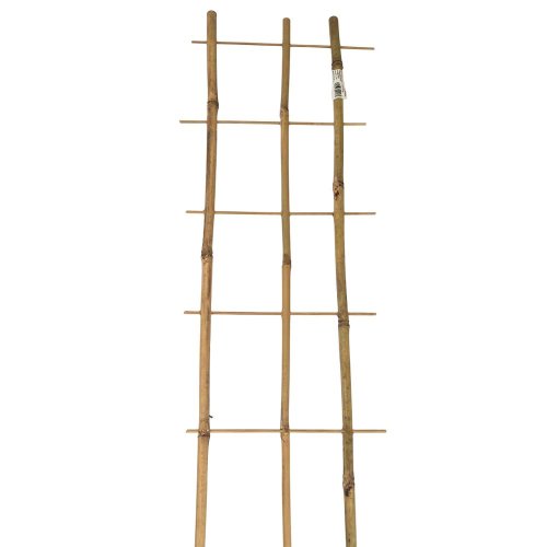 Podpora bambus 75/3 - Umelé kvety