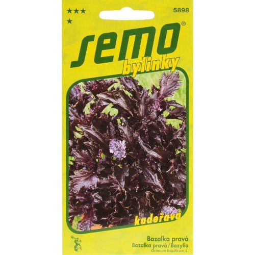 Bazalka purple ruffles 0,15g - Umelé kvety
