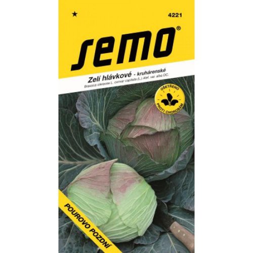 Kapusta nesk. pourovo 0,6g - Umelé kvety