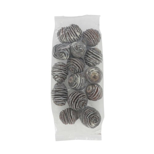 Platyspermum heads medium loose 250gr 28x12x6cm