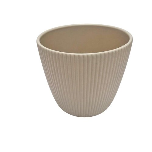 69688 obal dry reed 842/24 - Aranžérsky materiál