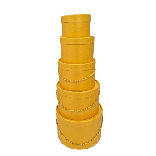 Darčeková krabička+šnúrka žltá vzor s/5 13x9-25x17cm - Aranžérsky materiál
