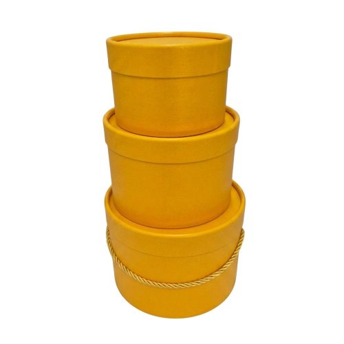 Darčeková krabička+šnúrka žltá s/3 13x9 - 18x13cm - Aranžérsky materiál