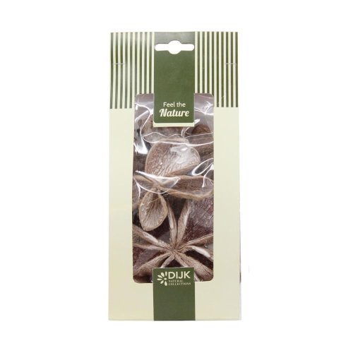 Landlotus nature 10 × 5 × 22 cm 4pc - Aranžérsky materiál