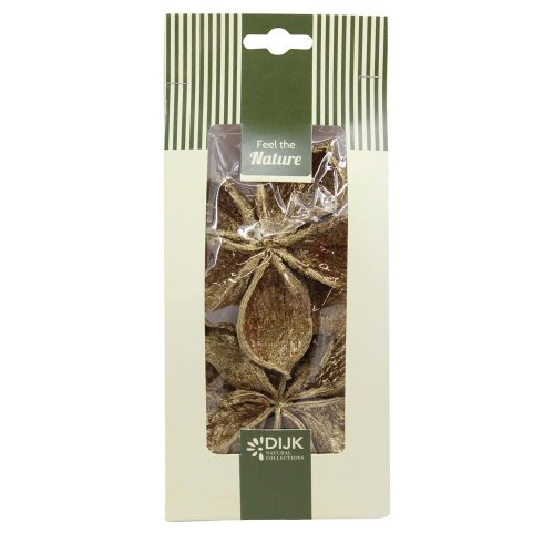 Landlotus nature 10x5x22cm 4pc - Aranžérsky materiál