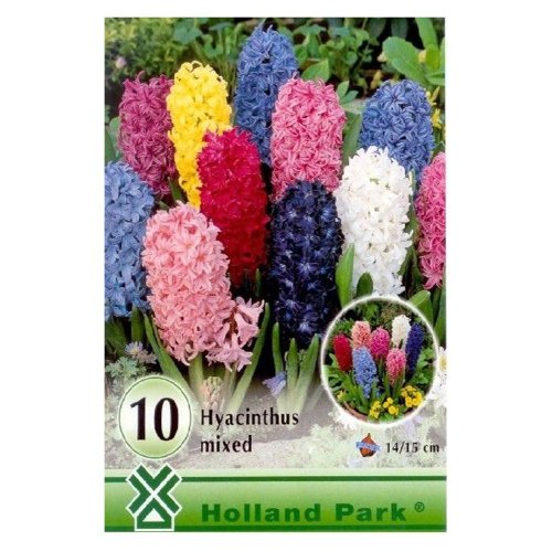 Large: hyacinthus mixed 10ks - Umelé kvety