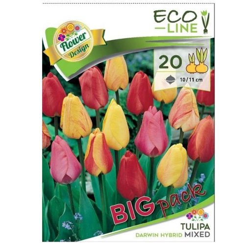 Large:tulipa darwin mix 20ks - Umelé kvety