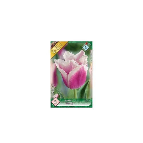 Tulipán siesta 8ks - Veľkonočné ozdoby